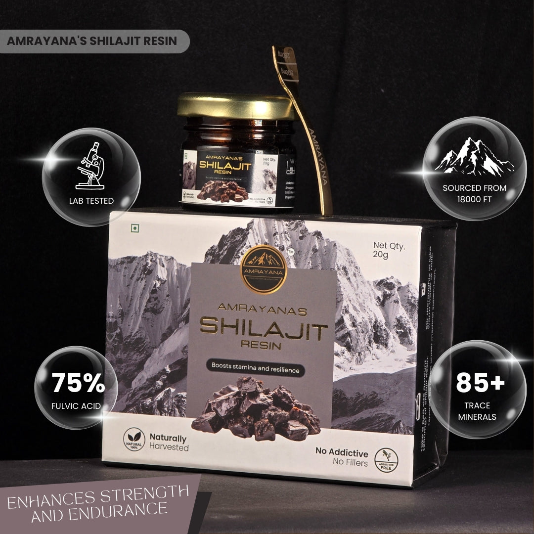 Amrayana Shilajit Resin 20g