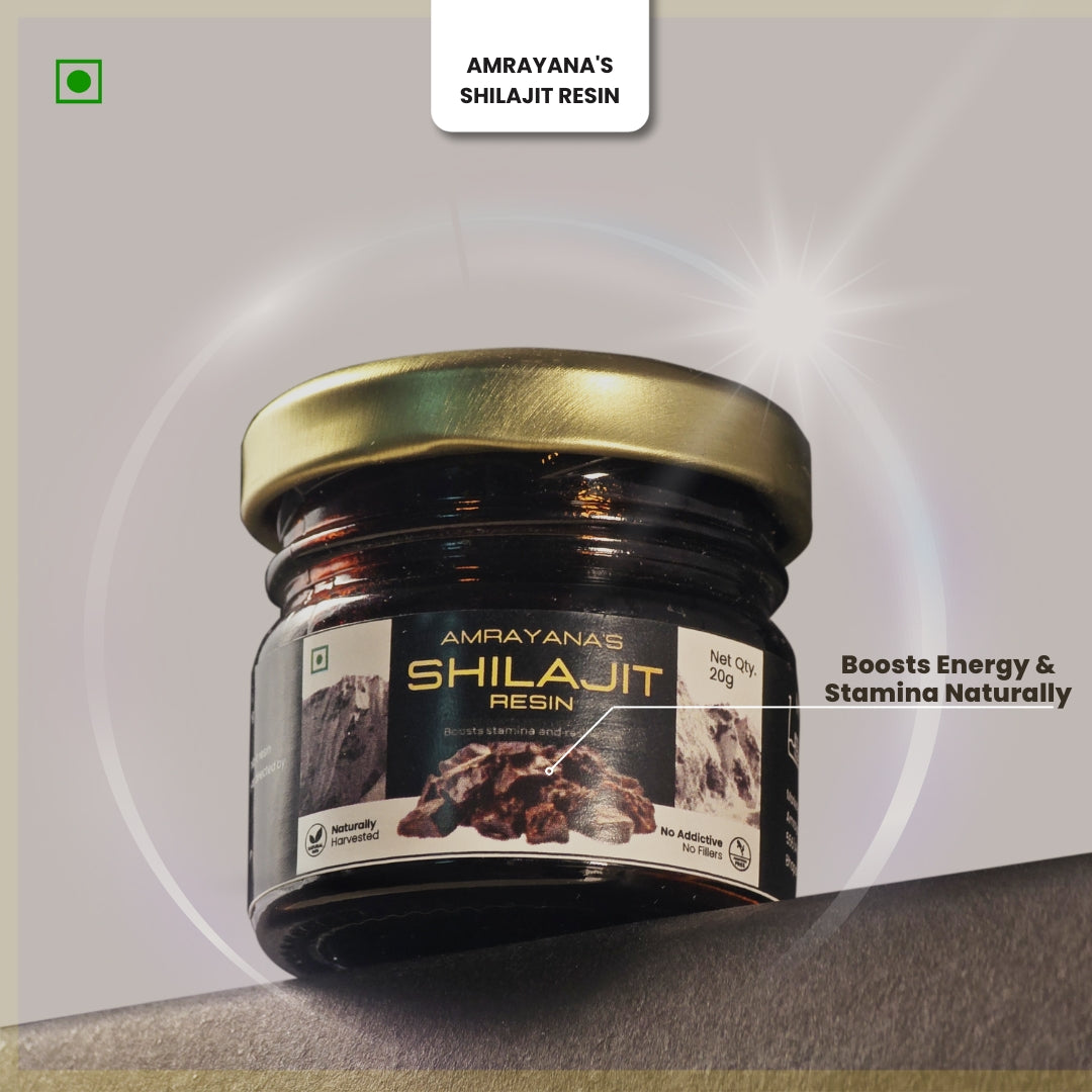 Amrayana Shilajit Resin 20g