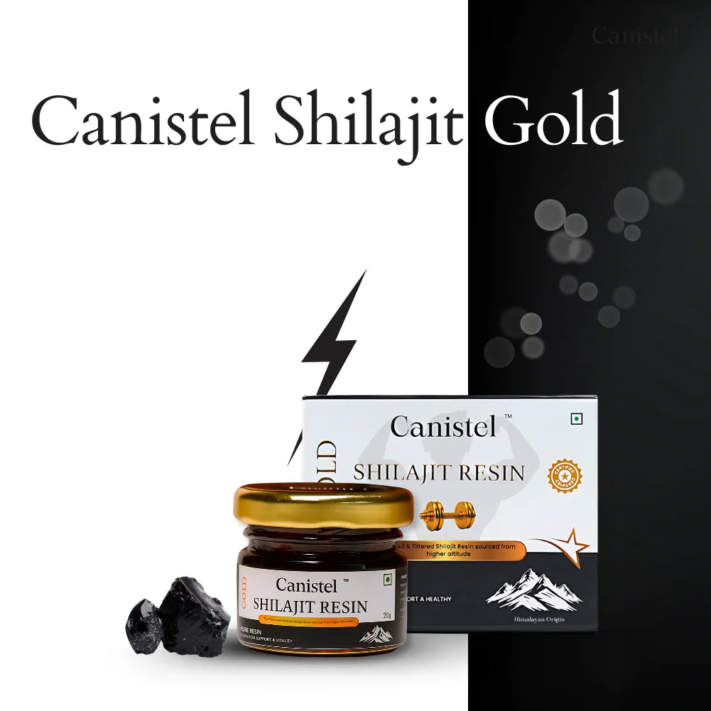 Canistel Shilajit Resin Gold – Himalayan Purity