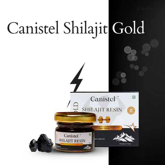 Canistel Shilajit Resin Gold – Himalayan Purity
