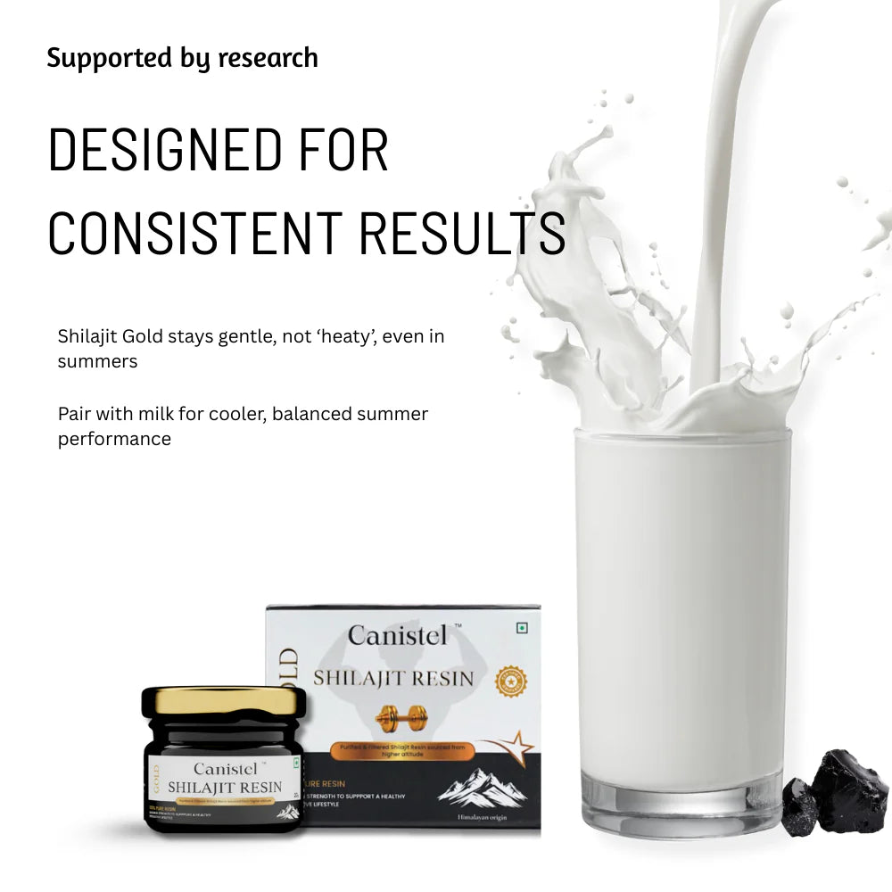 Canistel Shilajit Resin Gold – Himalayan Purity